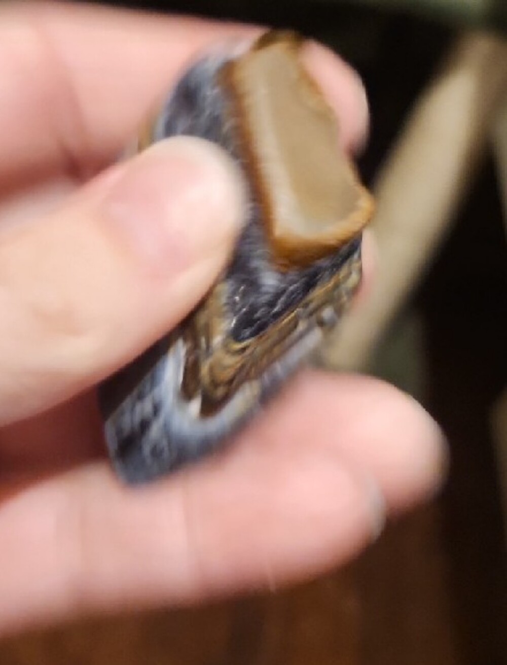 Blue Tiger's Eye - Picture 3 of 7